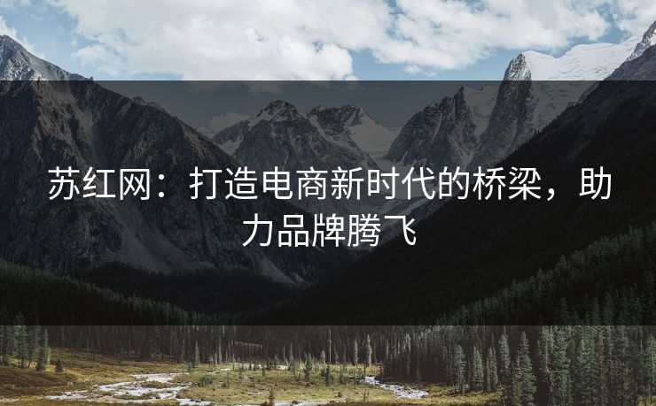 苏红网：打造电商新时代的桥梁，助力品牌腾飞