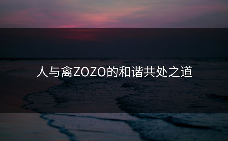 人与禽ZOZO的和谐共处之道