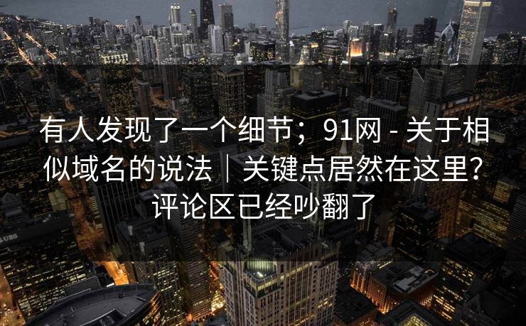 有人发现了一个细节；91网 - 关于相似域名的说法｜关键点居然在这里？评论区已经吵翻了