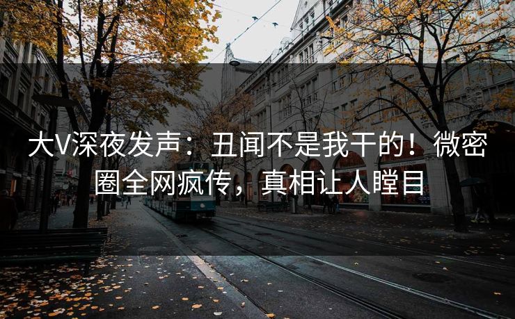 大V深夜发声：丑闻不是我干的！微密圈全网疯传，真相让人瞠目